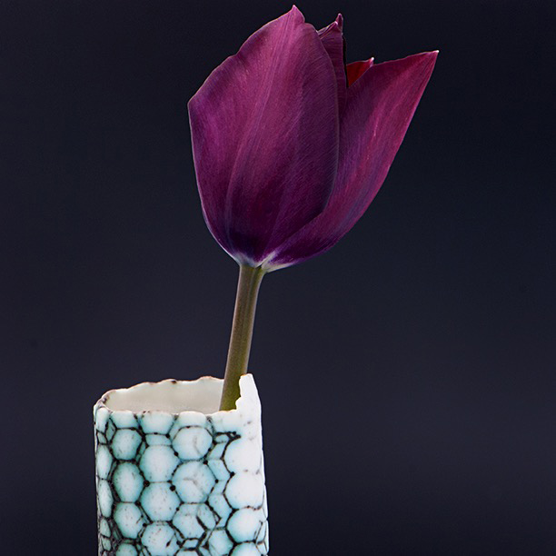 Tulip Havran in Porcelain Vase